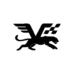Veluxe Store